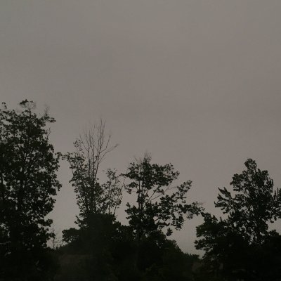 kryceir's profile picture