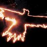 the crow's profile picture