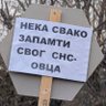 Chonta 🇷🇸's profile picture