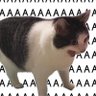 AppleTendo Guy's profile picture