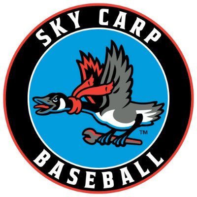 Beloit Sky Carp's profile picture