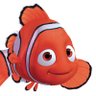 Enes Poyraz's profile picture
