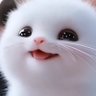 Tahsin 的头像