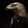 Titan's profile picture
