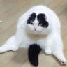 Lowther's profile picture