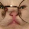 Fernando's profile picture