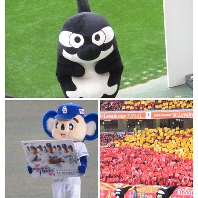 guradora_kun's profile picture