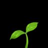 Khattab | خَطَّاب's profile picture