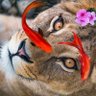 Фото профиля 🦁 شیرِ ساواک ⛳️