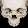 Фото профиля René Riquelme
