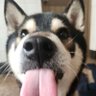 one's profile picture