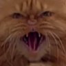 Mark Green's profile picture