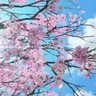 あとれい's profile picture