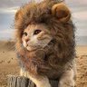 pitvh's profile picture