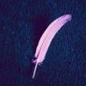 Profilbild von ARWA 🪻