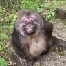 Kayky 的头像