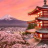 Profilbild von JAPAN 🇯🇵
