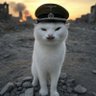 Catler 的头像