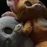 ゆあ(Y)'s profile picture