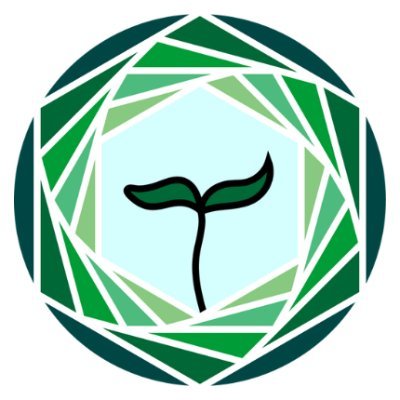 annamufilmassih's profile picture