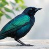 Littlebirdtweets 的头像
