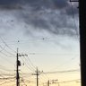 Фото профиля ほわほうわ