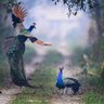 Фото профиля Mukesh Rai