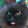 Emi's profile picture