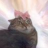 Valero17's profile picture
