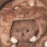 Profilbild von 정