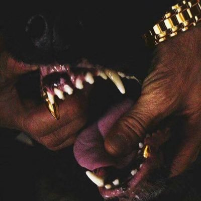 SilenHyena's profile picture