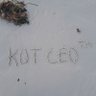 Profilbild von KOT CEO™