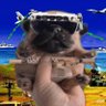 nick2's profile picture