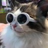 NashFama profil fotoğrafı