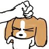 Profilbild von 朝阳