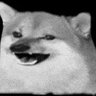  Boob advisor Fella 🇺🇦🇩🇪🇵🇱 profil fotoğrafı