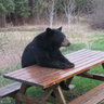 Profilbild von BriefM4