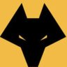 Thetraineewolfdoc's profile picture