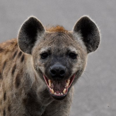 W's profile picture