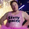 ElonsATraitor's profile picture