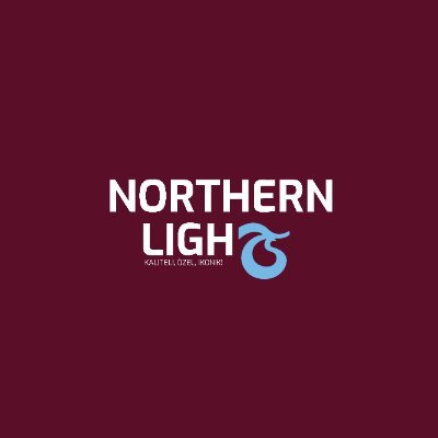 NorthernLighTS's profile picture