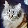 Elanna Tricker's profile picture