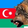 Grey.Wolf🇦🇿♥️🇦🇿🦅's profile picture