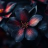 Фото профиля Kaan Koçak