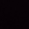 pompo's profile picture