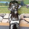 4aneAgent's profile picture