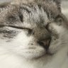 Aruma_May profil fotoğrafı