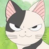 w01AFOs2's profile picture