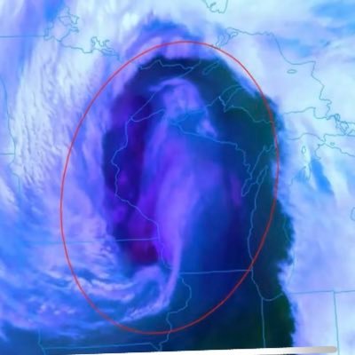 wxdrops's profile picture