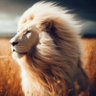 Фото профиля Kevin Cassidy